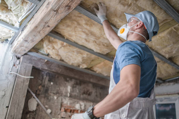 Best Cellulose Insulation  in Nazareth College, NY