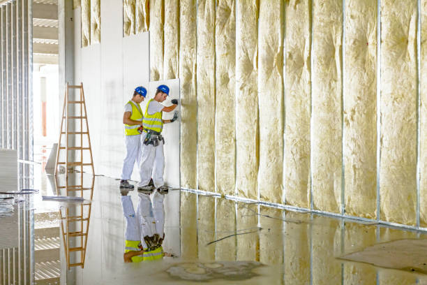 Best Insulation Replacement Services  in Nazareth College, NY
